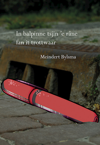 In balpinne tsjin 'e râne fan it trotwaar - Meindert Bylsma (ISBN 9789463651424)