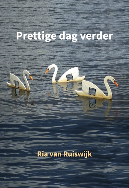 Prettige dag verder - Ria van Ruiswijk (ISBN 9789083007632)