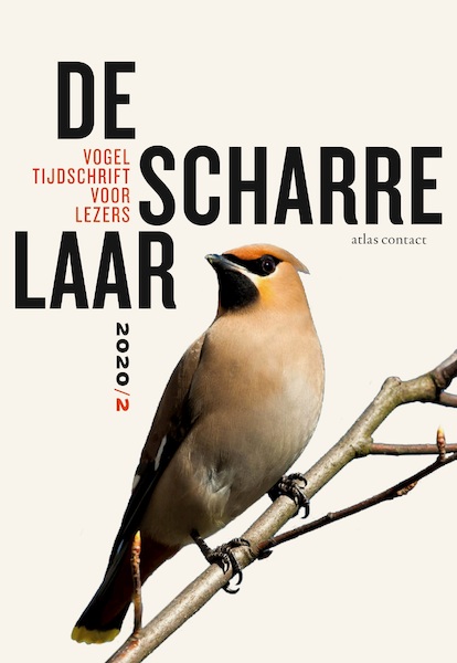 De scharrelaar - 2020/2 - Diverse auteurs (ISBN 9789045042824)