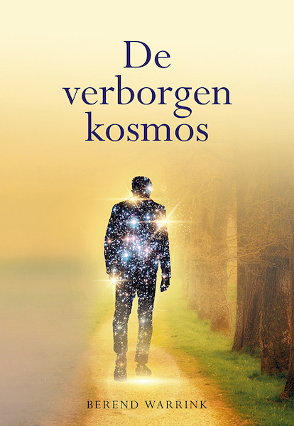 De verborgen kosmos - Berend Warrink (ISBN 9789463653305)