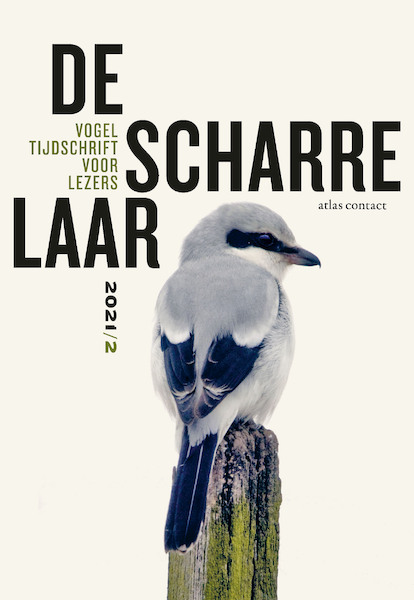 De scharrelaar - 2021/2 - (ISBN 9789045045344)