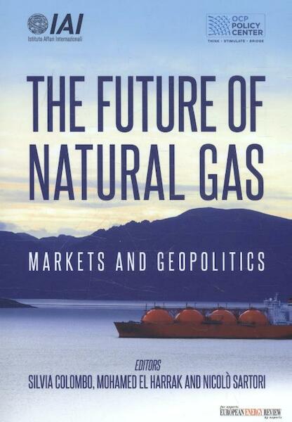 The future of natural gas - (ISBN 9789075458824)