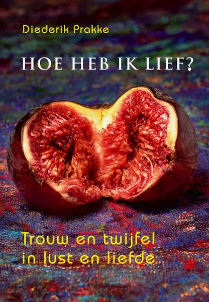 Hoe heb ik lief? - Diederik Prakke (ISBN 9789492883681)