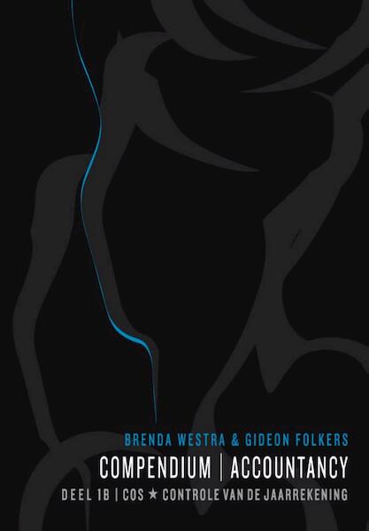 Compendium accountancy 1B - Brenda Westra, Gideon Folkers (ISBN 9789075043396)