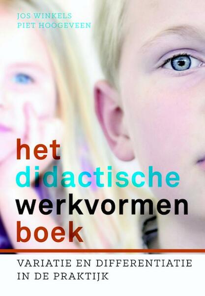 Het didactische werkvormenboek - Piet Hoogeveen, Jos Winkels (ISBN 9789023252764)