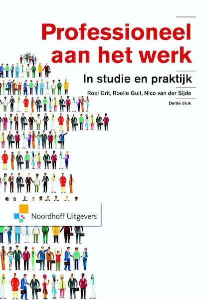 Professioneel aan het werk - Roel Grit, Roelie Guit, Nico van der Sijde (ISBN 9789001853303)