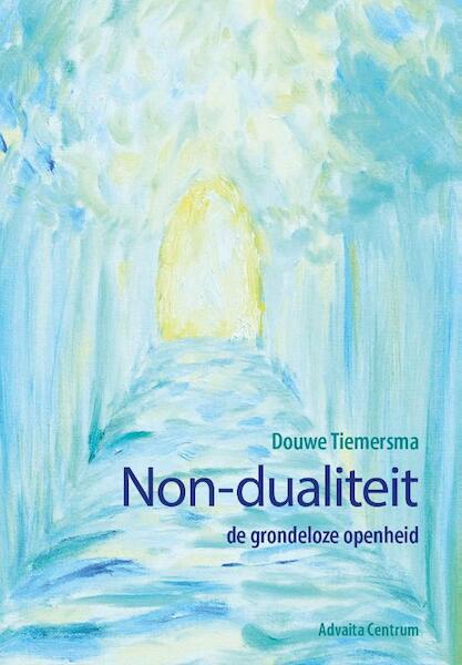 Non-dualiteit - Douwe Tiemersma (ISBN 9789077194126)