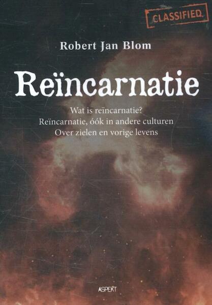 Reïncarnatie - Robert Jan Blom (ISBN 9789463381796)