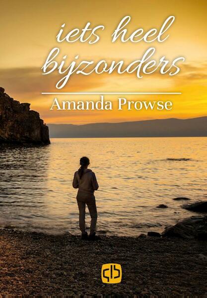Iets heel bijzonders - Amanda Prowse (ISBN 9789036432627)