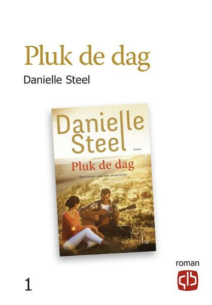 Pluk de dag - grote letter uitgave - Danielle Steel (ISBN 9789036432900)