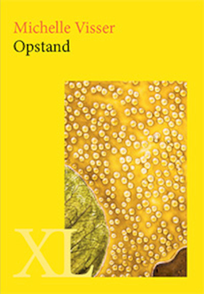 Opstand - Michelle Visser (ISBN 9789046310625)