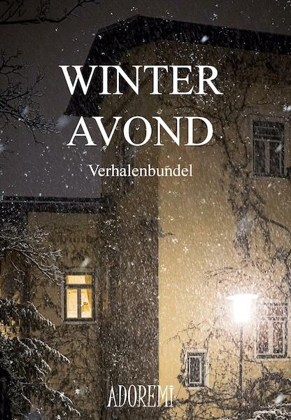 Winteravond - Diverse (ISBN 9789082646085)