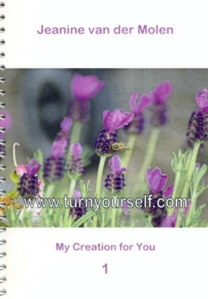 Turn yourself - my creation for you - Jeanine van der Molen (ISBN 9789085483151)