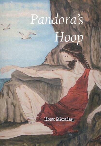 Pandora's hoop - Hero Moorlag (ISBN 9789057861406)