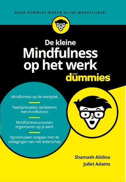 De kleine Mindfulness op het werk voor Dummies - Shamash Alidina, Juliet Adams (ISBN 9789045353555)