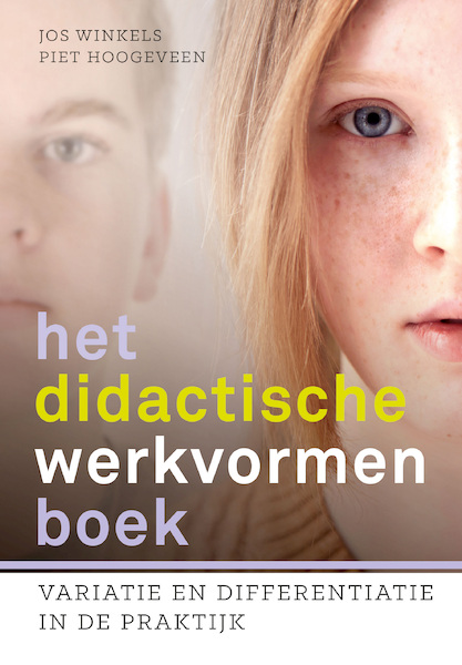 Het didactische werkvormenboek - Piet Hoogeveen, Jos Winkels (ISBN 9789023255611)