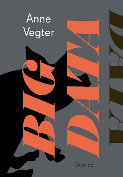 Big data - Anne Vegter (ISBN 9789021417257)