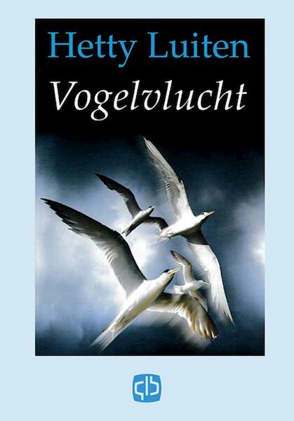 Vogelvlucht - Erven Hetty Luiten (ISBN 9789036428668)