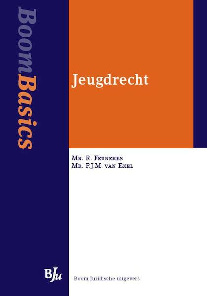 Boom Basics Jeugdrecht - R. Feunekes, P.J.M. van Exel (ISBN 9789460941306)