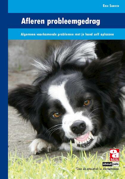Afleren probleemgedrag - (ISBN 9789058216281)