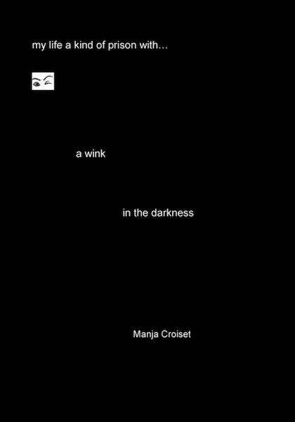 A wink in the darkness - Manja Croiset (ISBN 9789402144642)