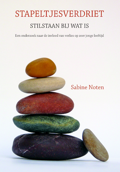 Stapeltjesverdriet - Sabine Noten (ISBN 9789077179253)