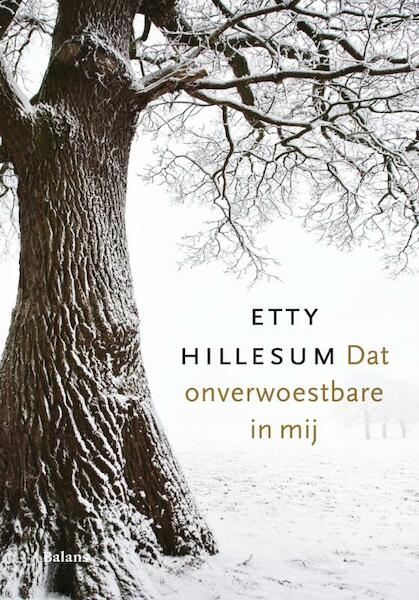 Dat onverwoestbare in mij - Etty Hillesum (ISBN 9789460033162)