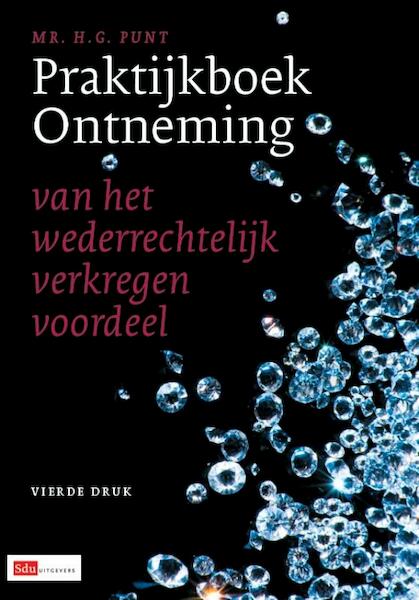 Praktijkboek Ontneming - H.G. Punt (ISBN 9789012385992)