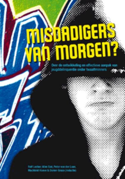 Misdadigers van morgen - Rolf Loeber (ISBN 9789066659629)