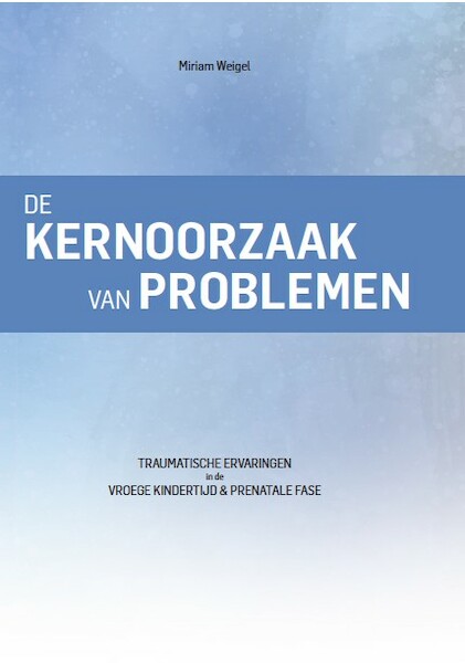 De kernoorzaak van problemen - Miriam Weigel (ISBN 9789082782004)