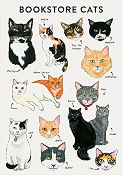 Bibliophile Flexi Journal: Bookstore Cats - (ISBN 9781452167275)