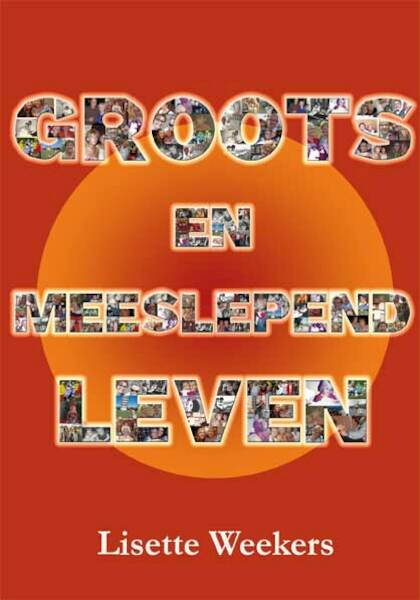 Groots en meeslepend leven - Lisette Weekers (ISBN 9789462663664)