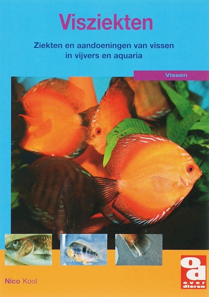 Visziekten - N. Kool (ISBN 9789058212573)