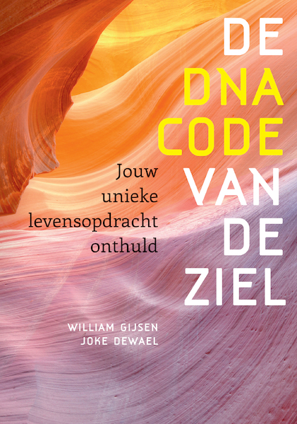 De DNA-code van de ziel - William Gijsen, Joke Dewael (ISBN 9789460151170)