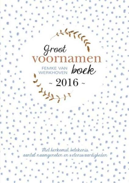 2016 - Femke van Werkhoven (ISBN 9789491874055)