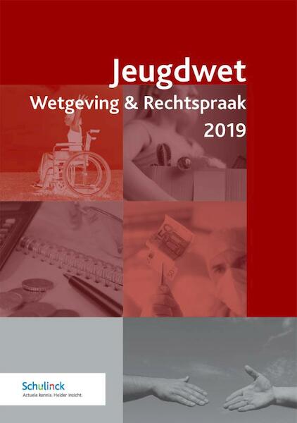 Jeugdwet Wetgeving & Rechtspraak 2019 - (ISBN 9789013152302)