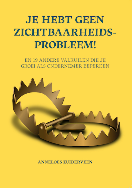 Je hebt geen zichtbaarheidsprobleem! - Anneloes Zuiderveen (ISBN 9789464375787)