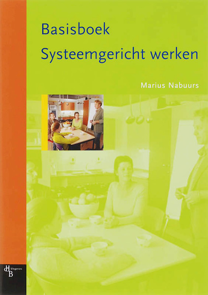 Basisboek Systeemgericht werken - M. Nabuurs (ISBN 9789055744794)