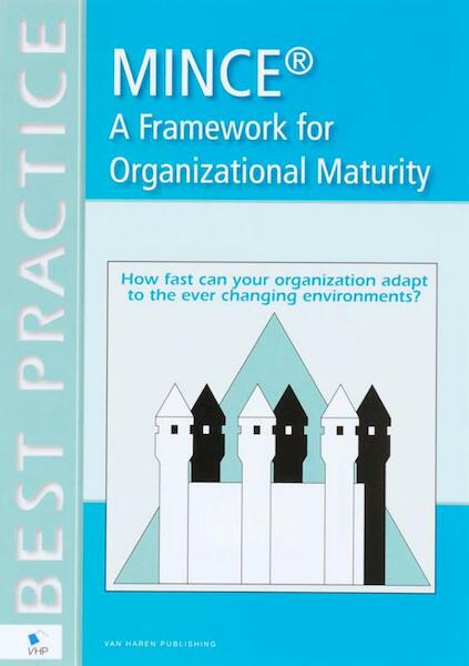Mince a framework for organizational maturity - Remco Meisner (ISBN 9789087539443)
