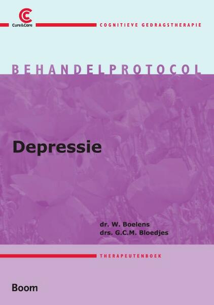 Behandelprotocol depressie tekstboek en werkboek - Willem Boelens (ISBN 9789461050786)