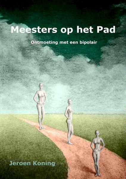 Meesters op het Pad - Jeroen Koning (ISBN 9789402117189)