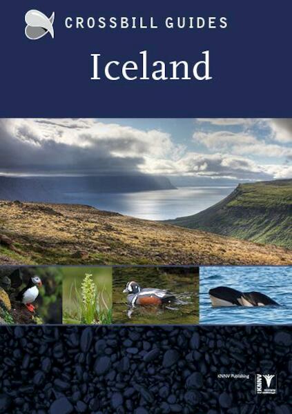 Iceland - Dirk Hilbers (ISBN 9789491648038)