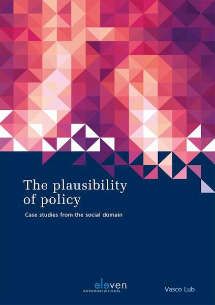 The Plausibility of Policy - Vasco Lub (ISBN 9789462364691)