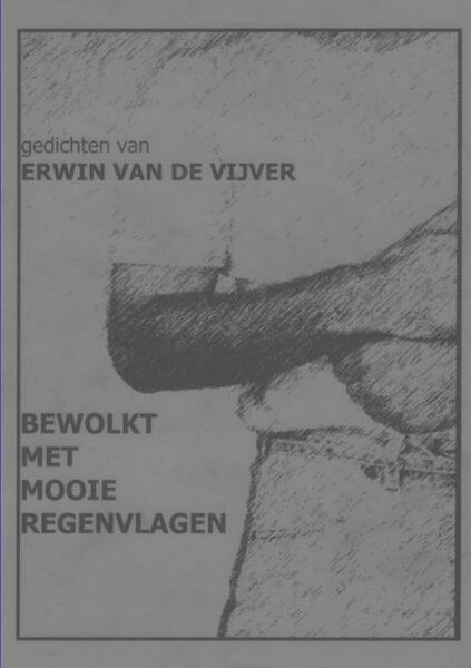 Bewolkt met mooie regenvlagen - Erwin Van De Vijver (ISBN 9789402126785)