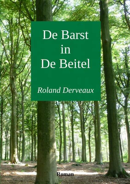 De barst in de beitel - Roland Derveaux (ISBN 9789402127713)