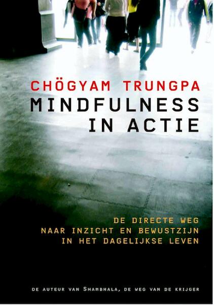 Mindfulness in actie - Chögyam Trungpa (ISBN 9789076681252)