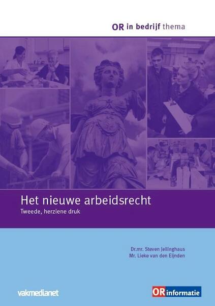 Het nieuwe arbeidsrecht - Steven Jellinghaus, Lieke van den Eijnden (ISBN 9789462154827)
