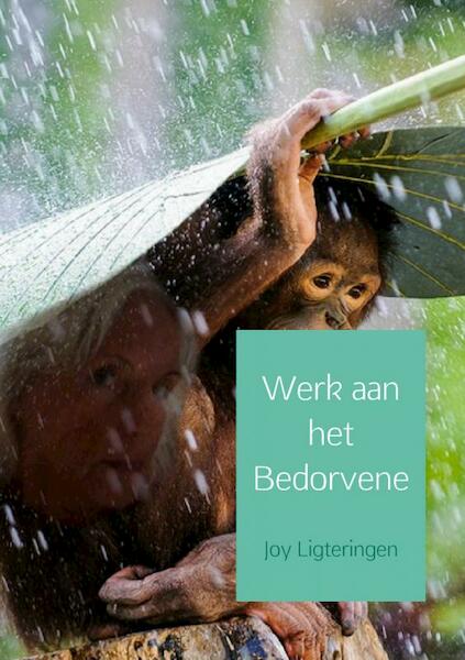 Werk aan het bedorvene - Joy Ligteringen (ISBN 9789402156720)