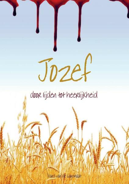 Jozef - Hans van de Lagemaat (ISBN 9789463425131)