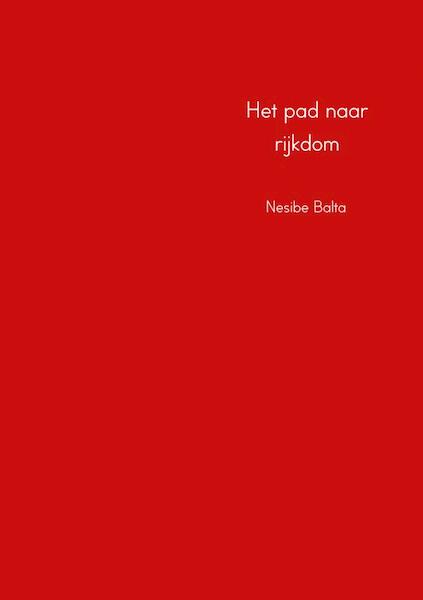 Het pad naar rijkdom - Nesibe Balta (ISBN 9789402171341)